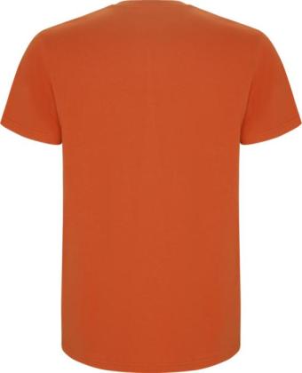 Stafford short sleeve kids t-shirt