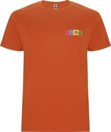 Stafford short sleeve kids t-shirt