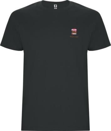 Stafford short sleeve kids t-shirt