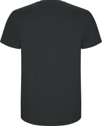 Stafford short sleeve kids t-shirt