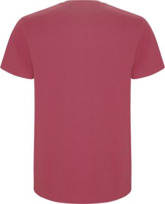 Stafford short sleeve kids t-shirt