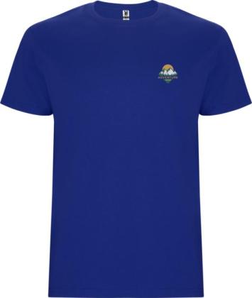 Stafford short sleeve kids t-shirt