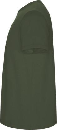 Stafford short sleeve kids t-shirt