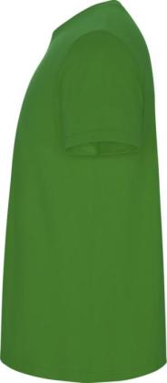 Stafford short sleeve kids t-shirt