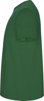 Stafford short sleeve kids t-shirt