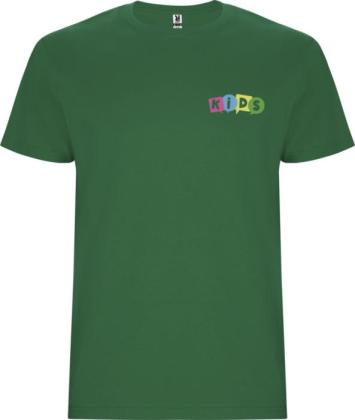 Stafford short sleeve kids t-shirt