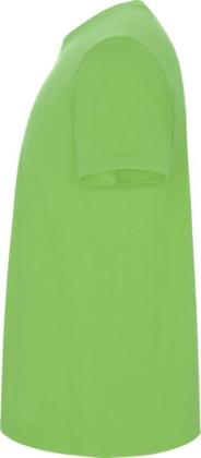 Stafford short sleeve kids t-shirt