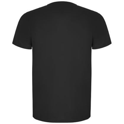 Imola short sleeve men's sports t-shirt