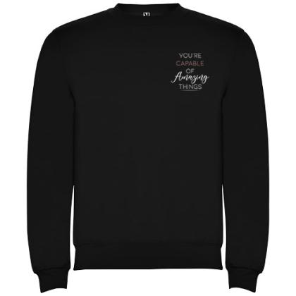 Clasica unisex crewneck sweater