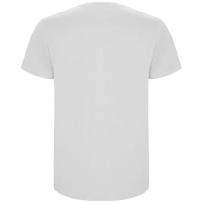 Stafford short sleeve men's t-shirt