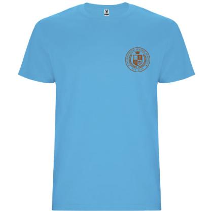 Stafford short sleeve men's t-shirt