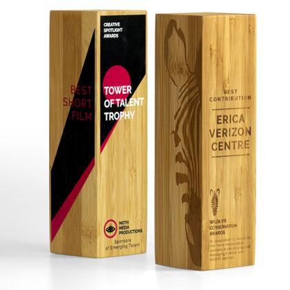 BAMBOO COLUMN AWARDS E153101