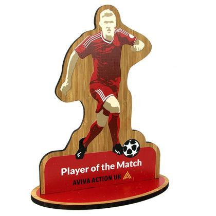 FREESTANDING BAMBOO AWARDS E153103