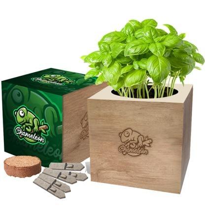 Desktop Cube Garden E1511801
