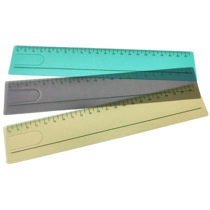 Cognitive Learning Ruler/Bookmark E155510
