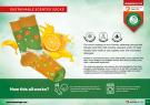 SUSTAINABLE Textile Essencing