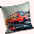 Outdoor Cushions (Water Repellent)