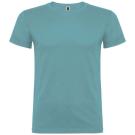Beagle short sleeve kids t-shirt