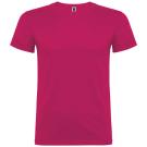 Beagle short sleeve kids t-shirt