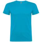 Beagle short sleeve kids t-shirt