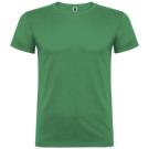 Beagle short sleeve kids t-shirt