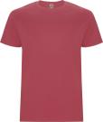 Stafford short sleeve kids t-shirt