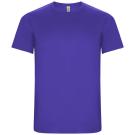 Imola short sleeve men's sports t-shirt