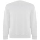 Batian organic cotton unisex crewneck sweater