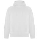 Vinson organic cotton unisex hoodie