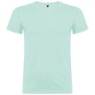 Beagle short sleeve men's t-shirt