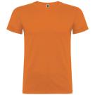 Beagle short sleeve men's t-shirt