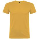 Beagle short sleeve men's t-shirt