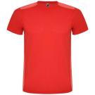 Detroit short sleeve unisex sports t-shirt