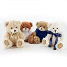12cm Sitting Paw Bear with T-Shirt E1512803