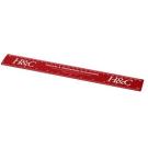 RENZO 30cm/12" PLASTIC RULER E155508