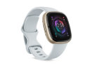 Fitbit Sense 2 Blue Mist/Soft Gold