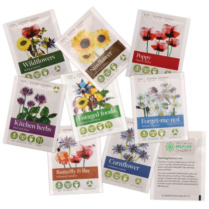 Standard Seed Packet