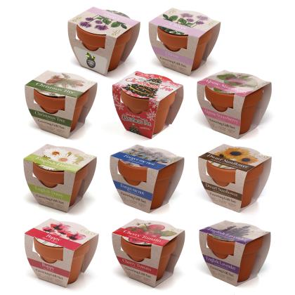 Standard Growing Gift