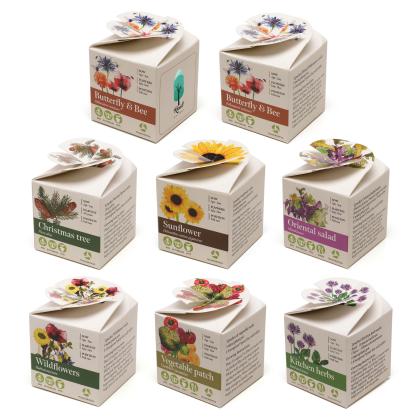 Mini Box Seed Kit