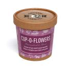 Natural Cup-o-Flowers Grow Kit