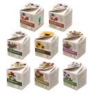 Mini Box Seed Kit