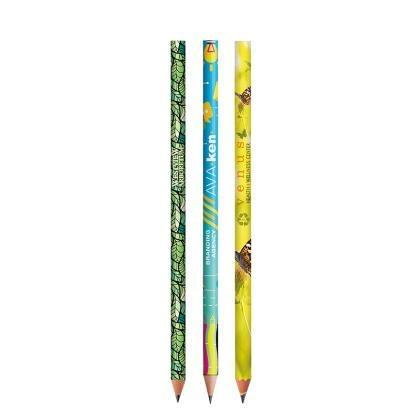 BIC Evolution Ecolutions Digital pencil (25194)