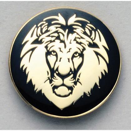 Soft Enamel Metal Badge (25506)