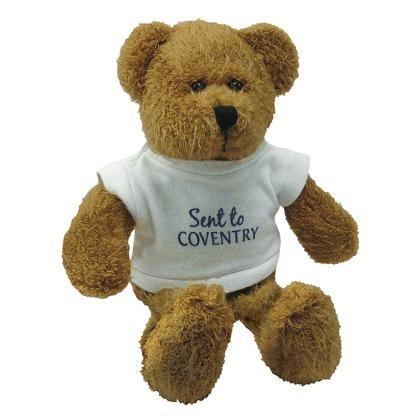 9inch Scraggy Bear with T Shirt (25764)