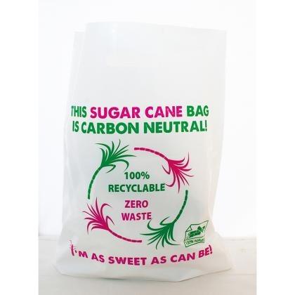 Sugarcane Bags (25499)