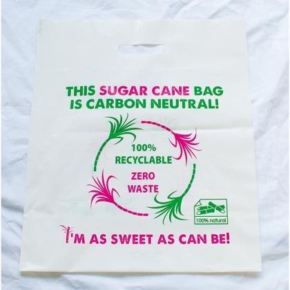 Sugarcane Bags (25499)