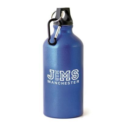 Pollock Glossy 550ml Sports Bottle (25351)