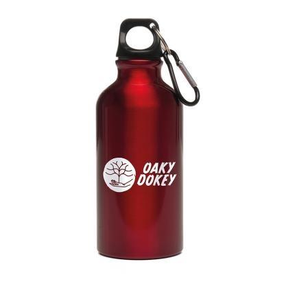 Pollock Glossy 400ml Sports Bottle (25352)