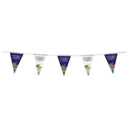 Outdoor Bunting  (25814)