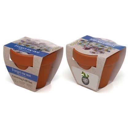 Standard Growing Gift with Mini Terracotta Pot (25731)